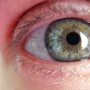 Outi 🦊🌱🌍🌈 avatar